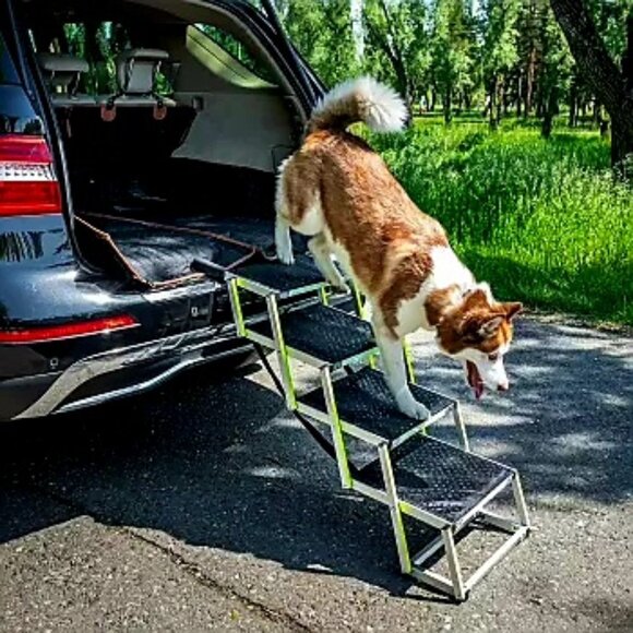 Car Dog Ramp “Tailgate” - Picture 1 of 3